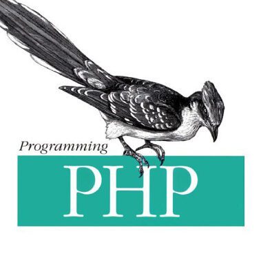 خرید و دانلود نسخه کامل کتاب Programming PHP [missing chapter 1]