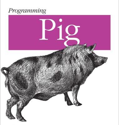خرید و دانلود نسخه کامل کتاب Programming Pig