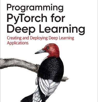 خرید و دانلود نسخه کامل کتاب Programming PyTorch for Deep Learning: Creating and Deploying Deep Learning Applications
