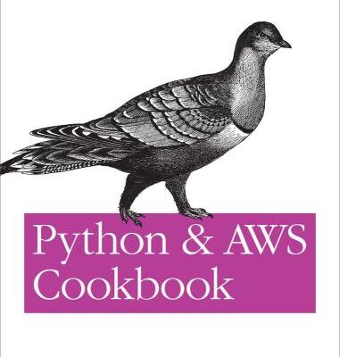 خرید و دانلود نسخه کامل کتاب Python and AWS