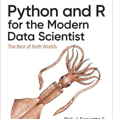 خرید و دانلود نسخه کامل کتاب Python and R for the Modern Data Scientist: The Best of Both Worlds
