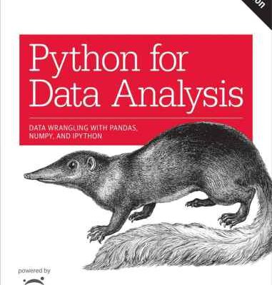 خرید و دانلود نسخه کامل کتاب Python for Data Analysis: Data Wrangling with Pandas, NumPy, and IPython 2nd Edition