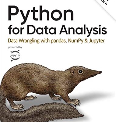 خرید و دانلود نسخه کامل کتاب Python for Data Analysis: Data Wrangling with pandas, NumPy, and Jupyter