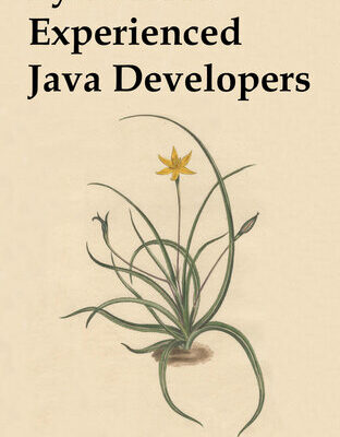 خرید و دانلود نسخه کامل کتاب Python for Experienced Java Developers