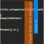 خرید و دانلود نسخه کامل کتاب Python for web application