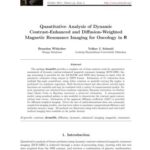 خرید و دانلود نسخه کامل کتاب Quantitative Analysis of Dynamic Contrast-Enhanced and Diffusion-Weighted Magnetic Resonance Imaging for Oncology in R + Code + Data