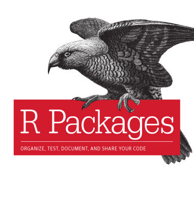خرید و دانلود نسخه کامل کتاب R Packages: Organize, Test, Document, and Share Your Code