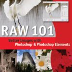 خرید و دانلود نسخه کامل کتاب Raw 101: Better Images With Photoshop and Photoshop Elements