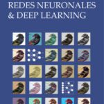 خرید و دانلود نسخه کامل کتاب Redes Neuronales & Deep Learning