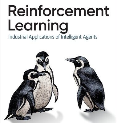خرید و دانلود نسخه کامل کتاب Reinforcement Learning: Industrial Applications of Intelligent Agents