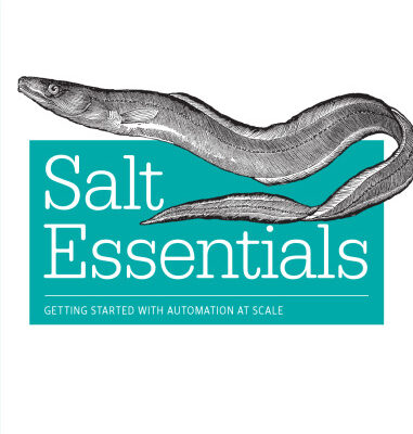 خرید و دانلود نسخه کامل کتاب Salt Essentials: Fast, Scalable, and Flexible Automation