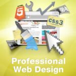 خرید و دانلود نسخه کامل کتاب Smashing Magazine Professional Web Design, Volume 2