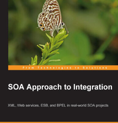 خرید و دانلود نسخه کامل کتاب SOA Approach to Integration: XML, Web services, ESB, and BPEL in real-world SOA projects