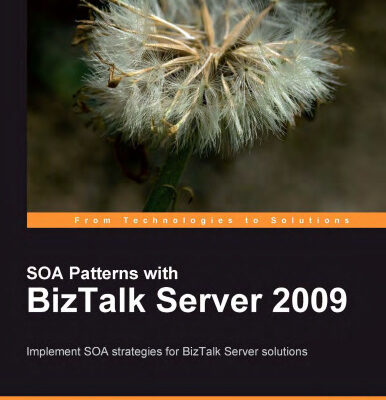 خرید و دانلود نسخه کامل کتاب SOA Patterns with BizTalk Server 2009