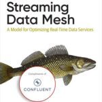 خرید و دانلود نسخه کامل کتاب Streaming Data Mesh (Final Release)
