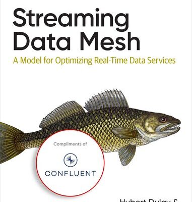 خرید و دانلود نسخه کامل کتاب Streaming Data Mesh (Final Release)