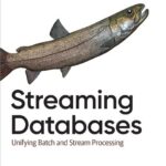 خرید و دانلود نسخه کامل کتاب Streaming Databases: Unifying Batch and Stream Processing