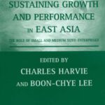 خرید و دانلود نسخه کامل کتاب Sustaining Growth And Performance In East Asia: The Role Of Small And Medium Sized Enterprises
