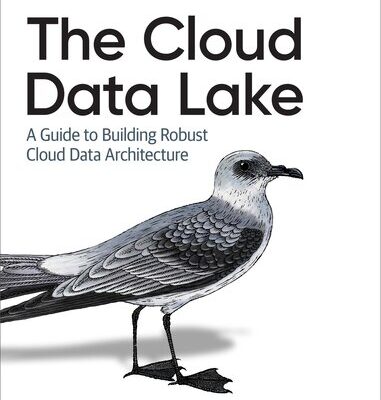 خرید و دانلود نسخه کامل کتاب The Cloud Data Lake: A Guide to Building Robust Cloud Data Architecture