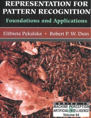 خرید و دانلود نسخه کامل کتاب The Dissimilarity Representation for Pattern Recognition: Foundations and Applications