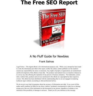 خرید و دانلود نسخه کامل کتاب The free SEO report. A no fluff guide for newbies