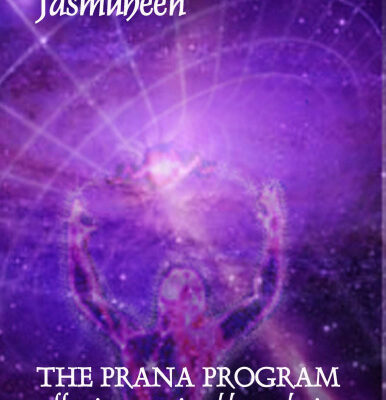 خرید و دانلود نسخه کامل کتاب THE PRANA PROGRAM – Effective & Enjoyable Evolution