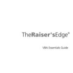 خرید و دانلود نسخه کامل کتاب The Raiser’s Edge. VBA Essentials Guide