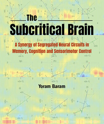 خرید و دانلود نسخه کامل کتاب The Subcritical Brain: A Synergy of Segregated Neural Circuits in Memory, Cognition and Sensorimotor Control