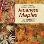 خرید و دانلود نسخه کامل کتاب Timber Press Pocket Guide to Japanese Maples (Timber Press Pocket Guides)