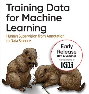 خرید و دانلود نسخه کامل کتاب Training Data for Machine Learning: Human Supervision from Annotation to Data Science (Seventh release)