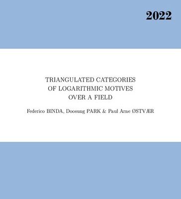 خرید و دانلود نسخه کامل کتاب Triangulated categories of logarithmic motives over a field