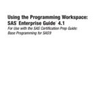 خرید و دانلود نسخه کامل کتاب Using the Programming Workspace: SAS Enterprise Guide 4.1