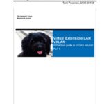 خرید و دانلود نسخه کامل کتاب Virtual Extensible LAN (VXLAN): A Practical guide to VXLAN solution