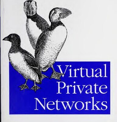 خرید و دانلود نسخه کامل کتاب Virtual Private Networks