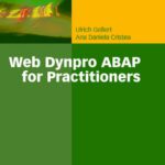 خرید و دانلود نسخه کامل کتاب Web Dynpro ABAP for Practitioners