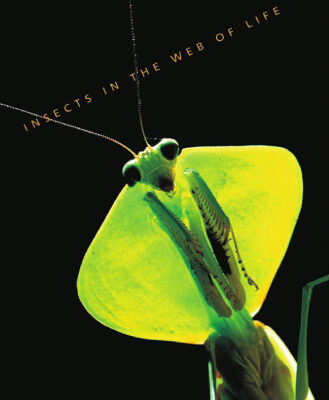 خرید و دانلود نسخه کامل کتاب What Good Are Bugs?: Insects in the Web of Life