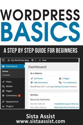 خرید و دانلود نسخه کامل کتاب WordPress Basics: A Step By Step Guide For Beginners