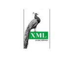 خرید و دانلود نسخه کامل کتاب XXML Pocket Reference