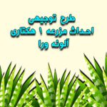 خرید و دانلود طرح توجیهی احداث مزرعه ۱ هکتاری آلوئه ورا