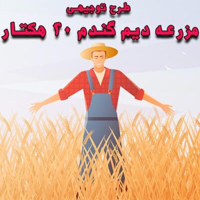 خرید و دانلود طرح توجیهی مزرعه دیم گندم