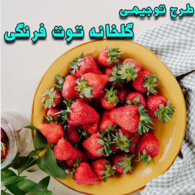 خرید و دانلود طرح توجیهی گلخانه توت فرنگی