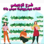 خرید و دانلود طرح توجیهی گلخانه هیدروپونیک صیفی جات
