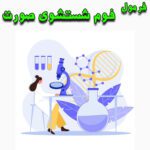 خرید و دانلود فرمول فوم شستشوی صورت