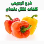 خرید و دانلود طرح توجیهی گلخانه‌ فلفل دلمه‌ای