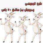 خرید و دانلود طرح توجیهی پرورش بز سانن ۵۰ راس