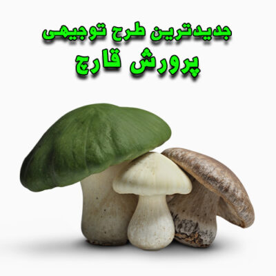 خرید و دانلود طرح توجیهی پرورش قارچ
