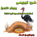 خرید و دانلود طرح توجیهی پرورش شترمرغ