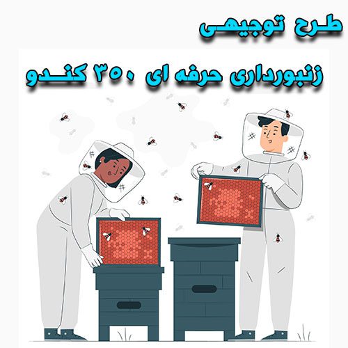 008532145 خرید و دانلود طرح توجیهی زنبورداری حرفه ای ۳۵۰ کندو - تصویر 1