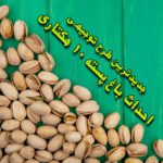 خرید و دانلود طرح توجیهی احداث باغ پسته ۱۰ هکتاری