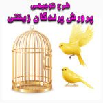 خرید و دانلود طرح توجیهی پرندگان زینتی